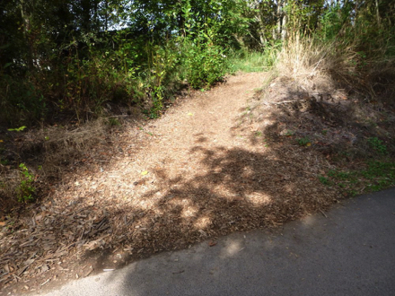 Natural surface trail to disc golf – may have a steep cross-slope